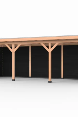 Direct Beschikbaar Douglas overkapping, 750 x 250, met zwarte achterwand en twee zijwanden, Westwood Comfort
